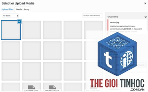wordpress media library trắng trang