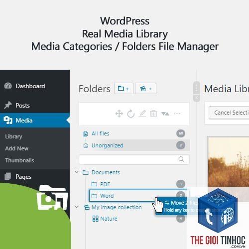 wordpress media library trắng trang - Hình 4