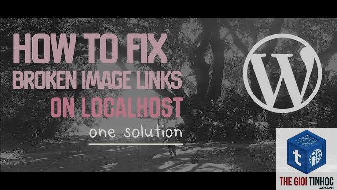 wordpress media link broken - Hình 3