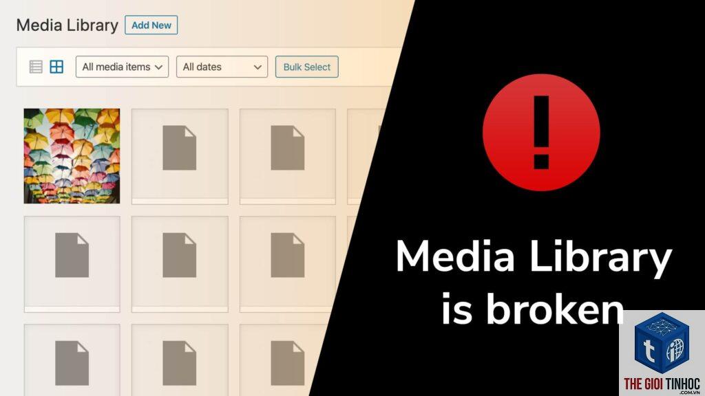 wordpress media path lỗi - Hình 2