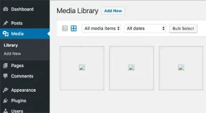 wordpress media processing queue lỗi