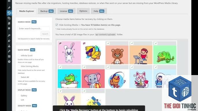 wordpress media recovery mode - Hình 2
