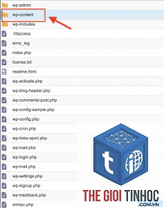 wordpress media sau cài plugin bị lỗi