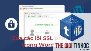 wordpress media ssl lỗi