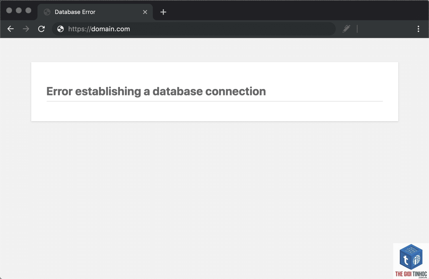 wordpress migrate database lỗi - Hình 2