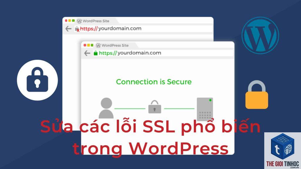 wordpress migrate ssl lỗi