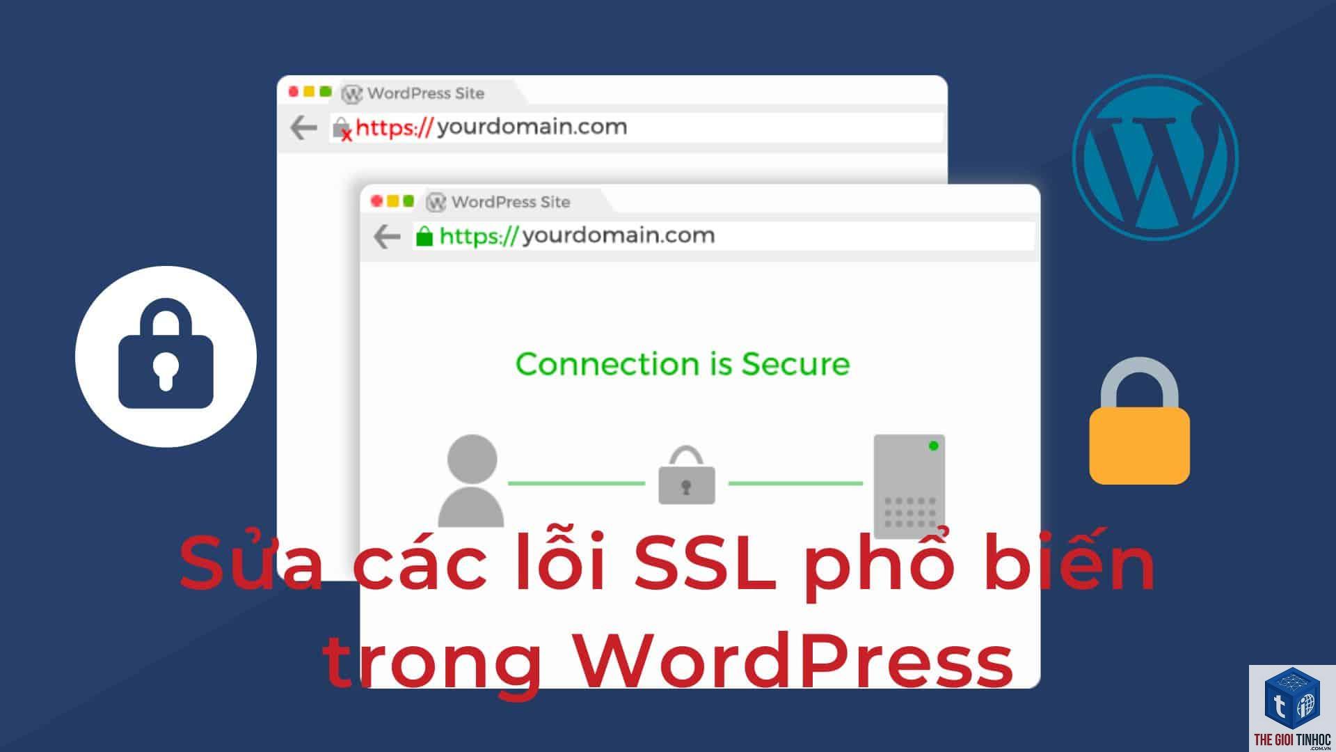 wordpress migrate ssl lỗi