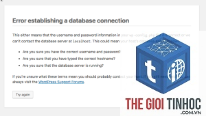 wordpress mysql error