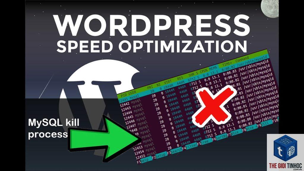 wordpress mysql timeout