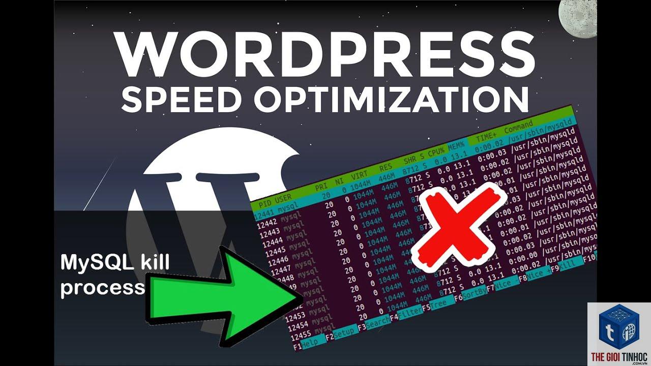 wordpress mysql timeout - Hình 1