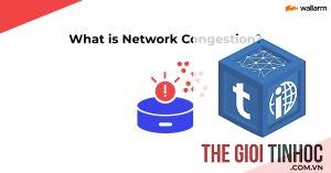 wordpress network congestion