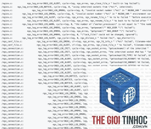 wordpress nginx error log
