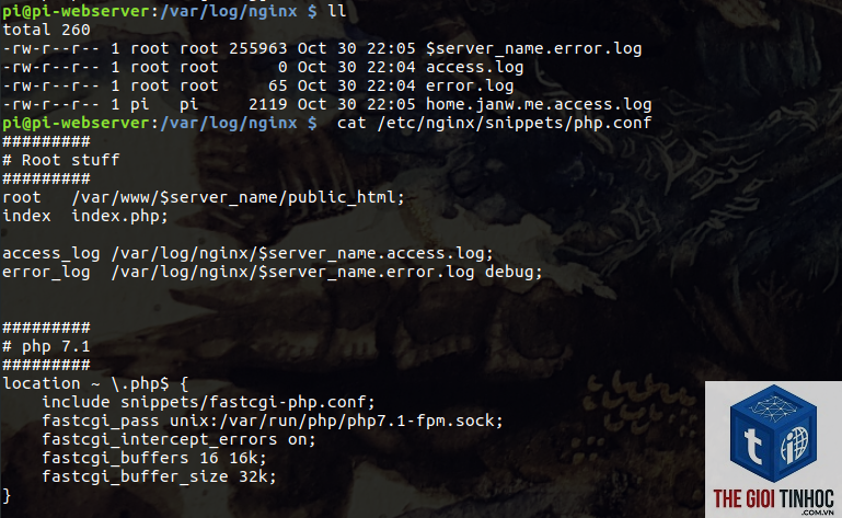 wordpress nginx error log - Hình 4