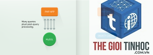 wordpress object cache