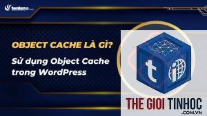wordpress object cache là gì