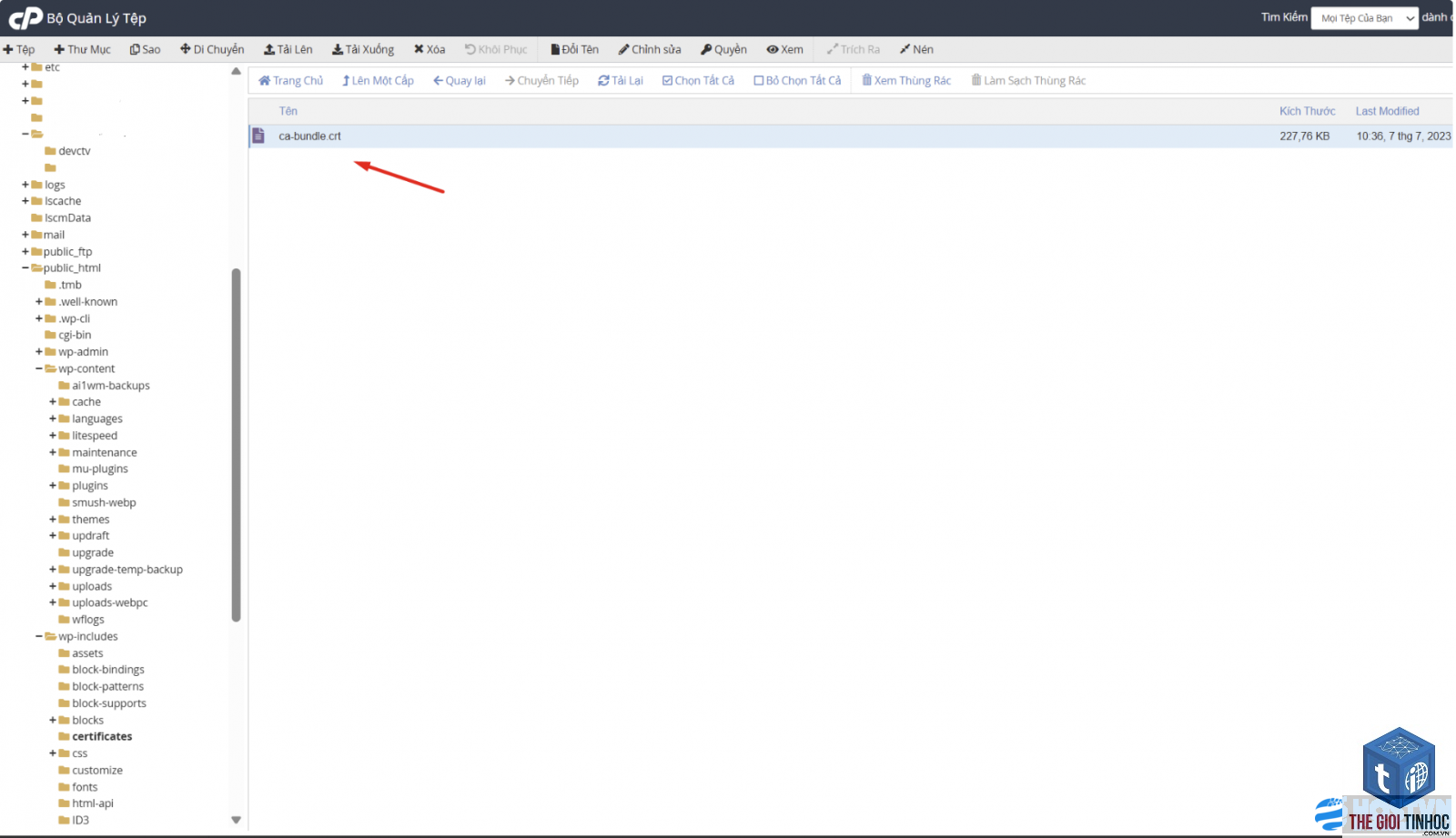 wordpress openlitespeed ssl lỗi - Hình 4