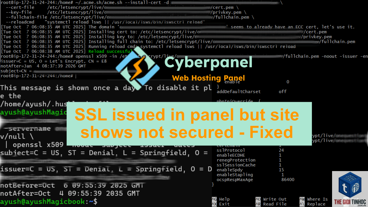wordpress openlitespeed ssl lỗi - Hình 5