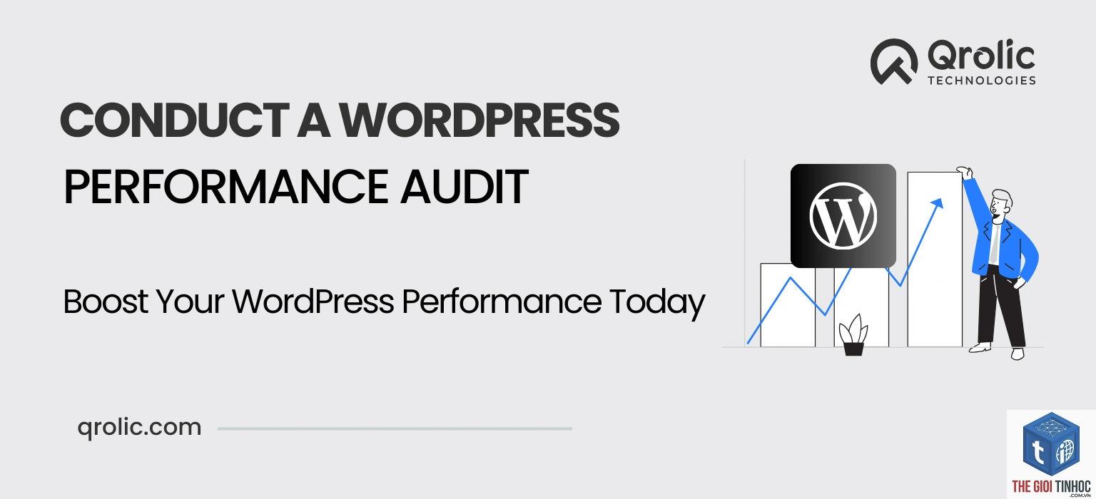 wordpress performance audit - Hình 2