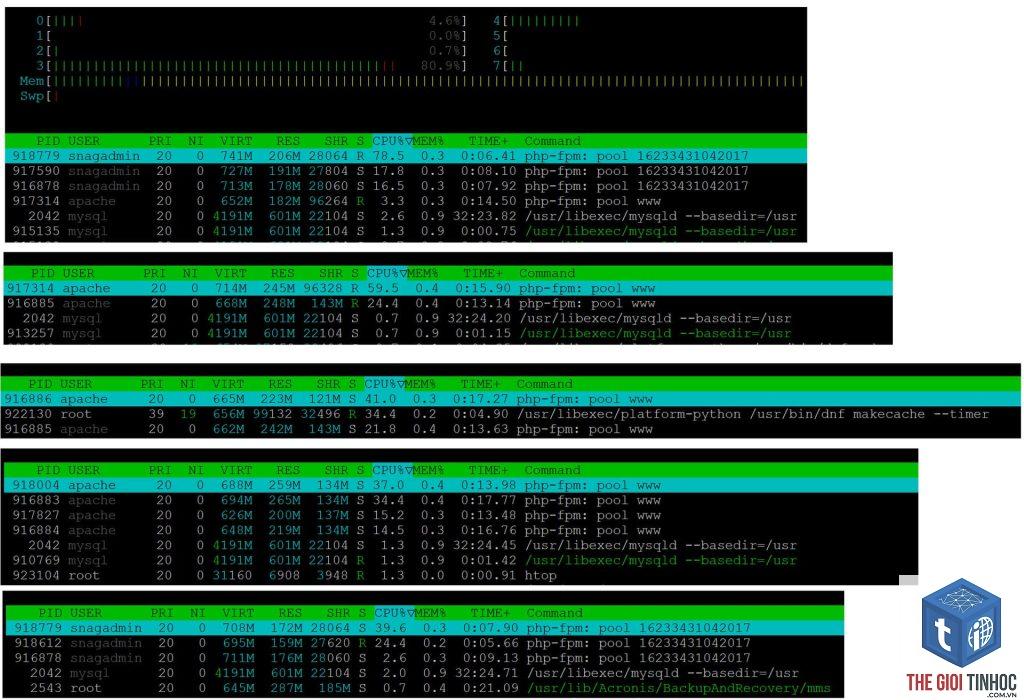 wordpress php-fpm crash