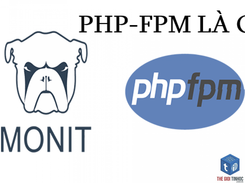 wordpress php-fpm log