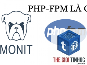 wordpress php-fpm log