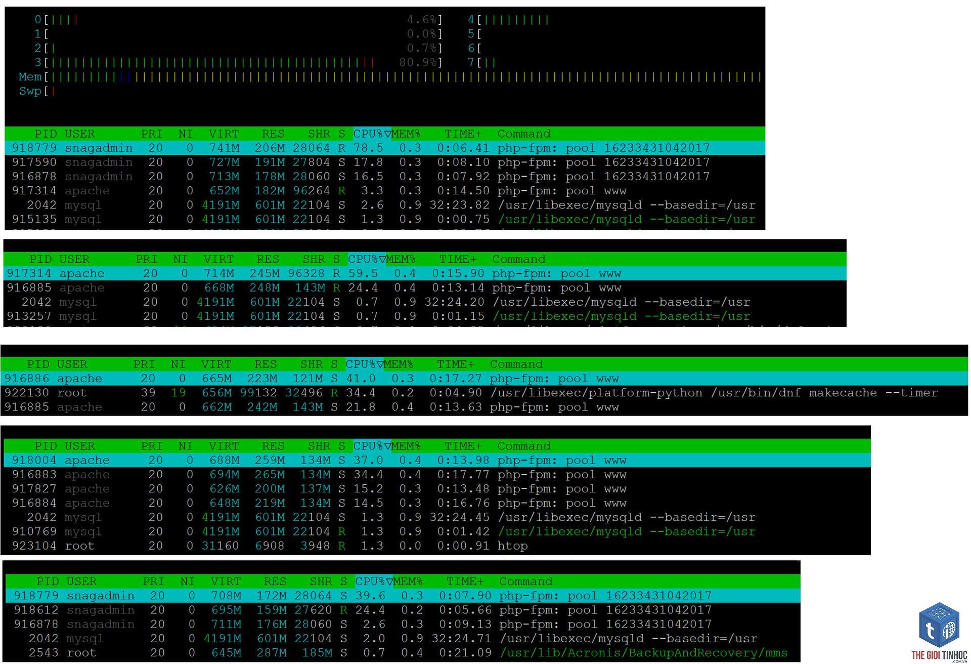 wordpress php-fpm pool error - Hình 1