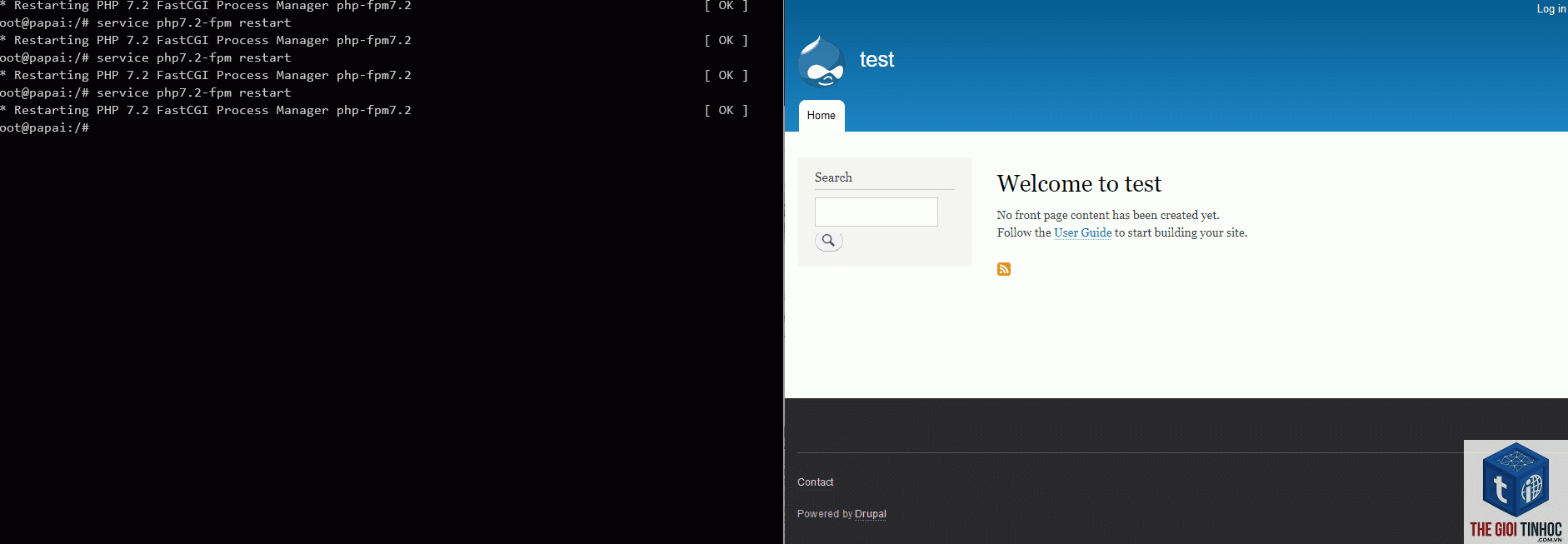 wordpress php-fpm restart lỗi - Hình 4