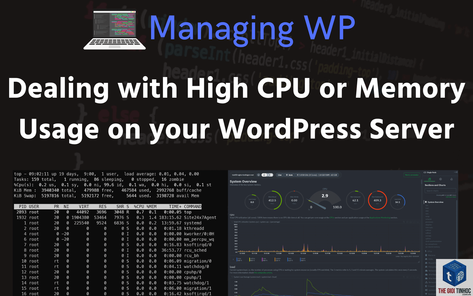wordpress php-fpm worker limit - Hình 2
