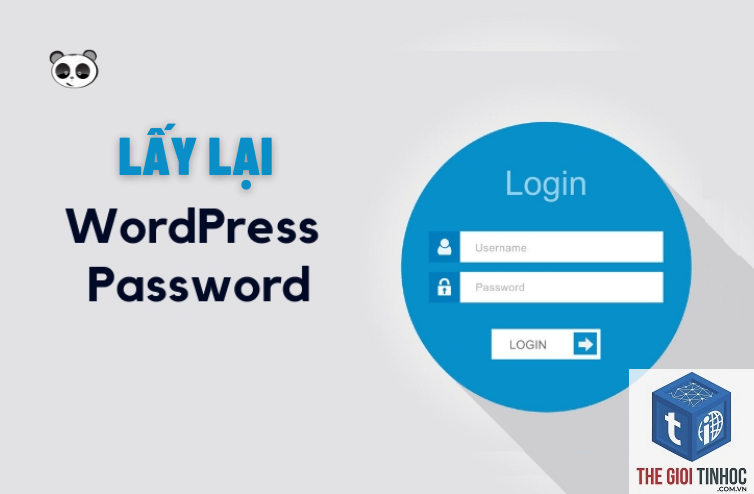 wordpress quên mật khẩu - Hình 2