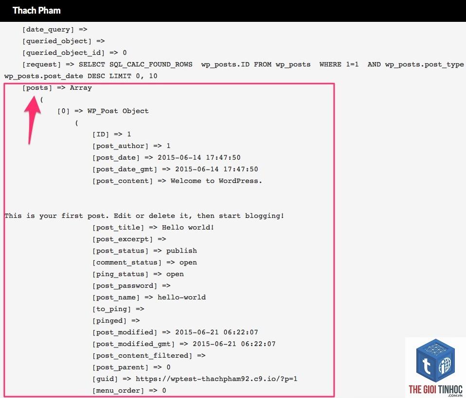 wordpress query là gì - Hình 4