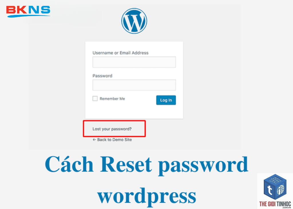wordpress reset password không hoạt động - Hình 2