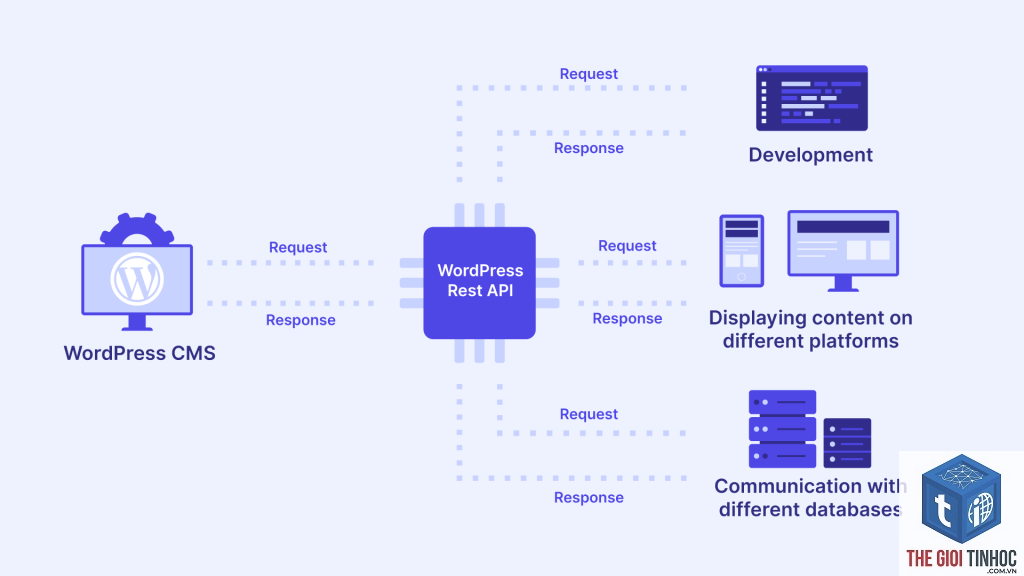 wordpress rest api 500