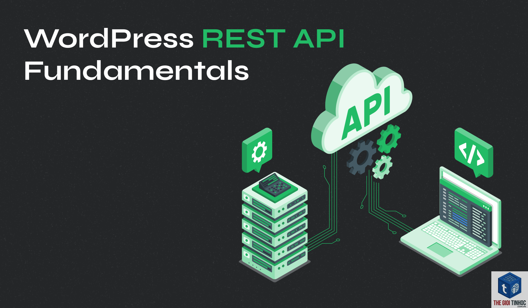 wordpress rest api 500 - Hình 3