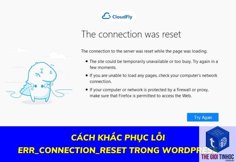 wordpress restore server lỗi - Hình 5