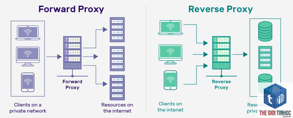 wordpress reverse proxy lỗi