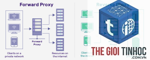 wordpress reverse proxy lỗi