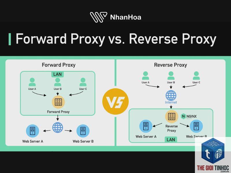 wordpress reverse proxy lỗi - Hình 3