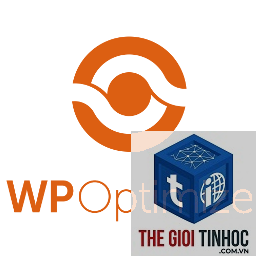 wordpress script optimization
