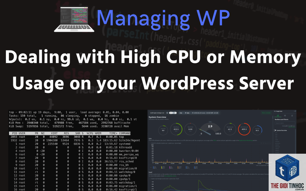 wordpress server cpu overload