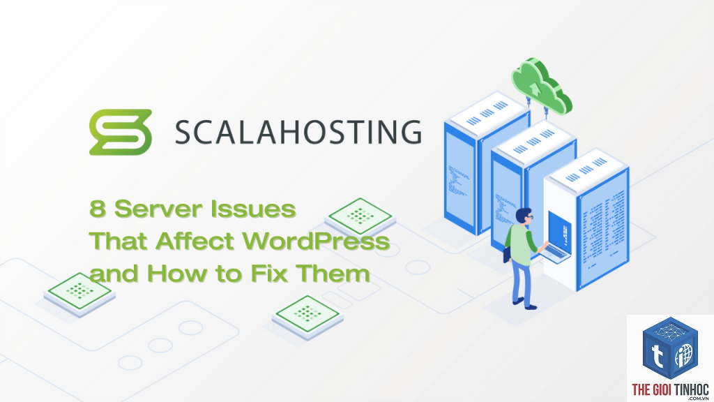 wordpress server network issue