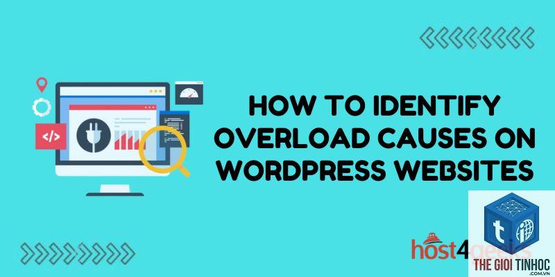 wordpress server overload - Hình 4