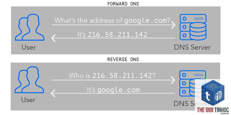 wordpress smtp reverse dns lỗi - Hình 4