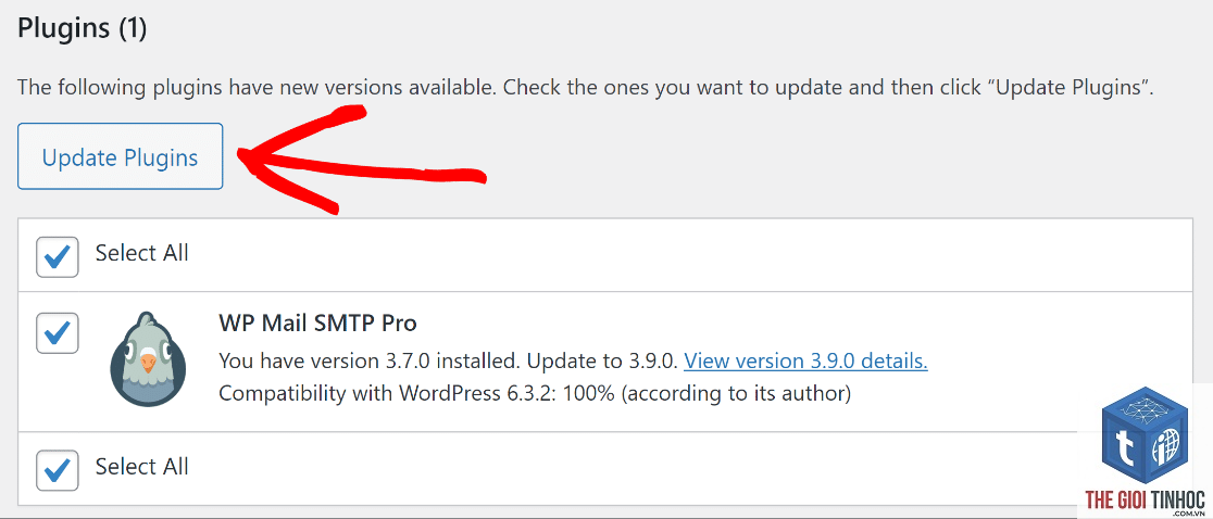 wordpress smtp ssl error - Hình 2