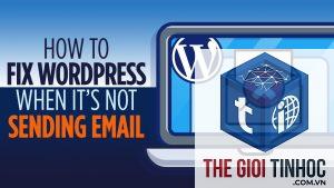 wordpress socketlabs smtp lỗi