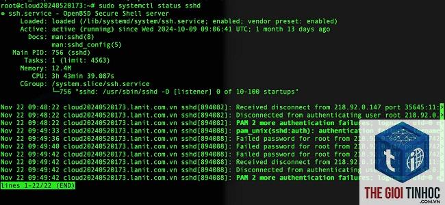 wordpress ssh lỗi - Hình 4