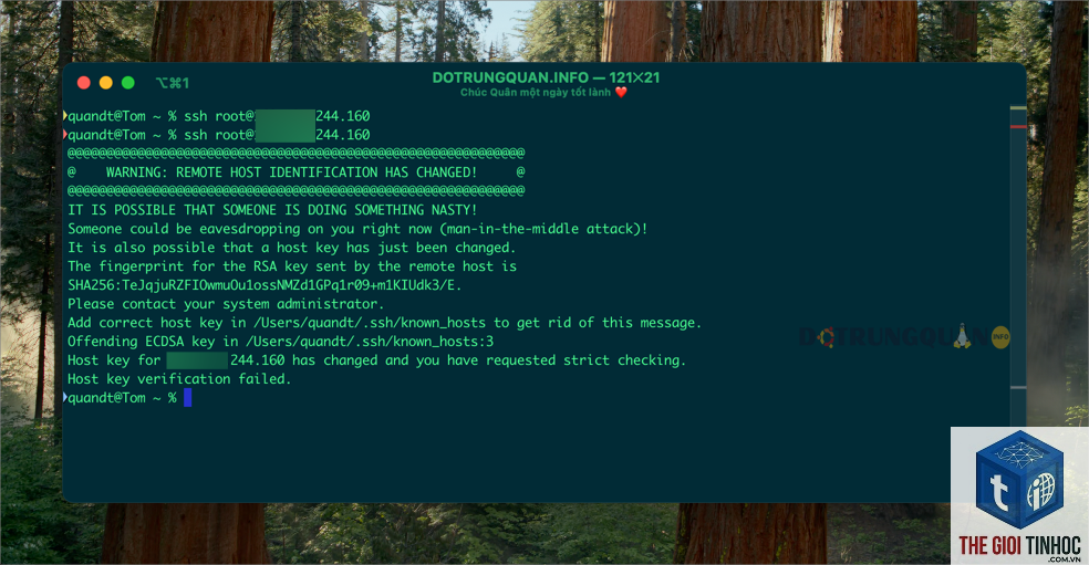 wordpress ssh lỗi - Hình 5