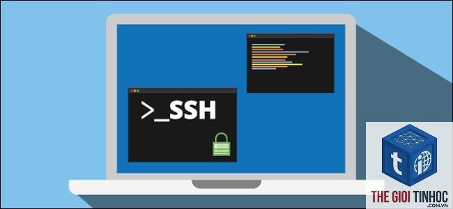 wordpress ssh lỗi