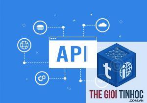 wordpress theme api là gì