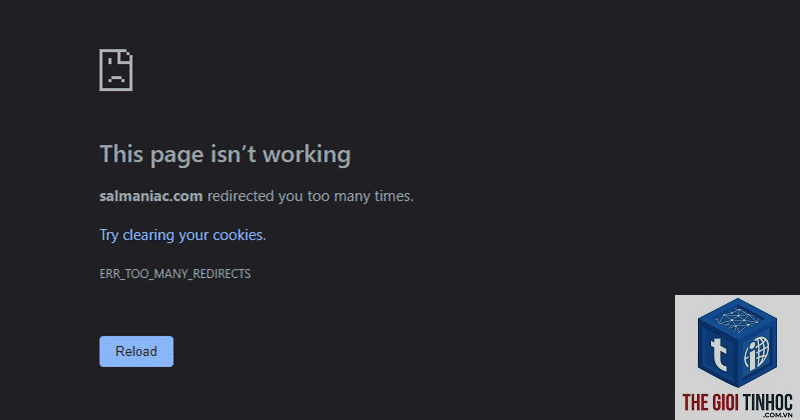 wordpress too many redirects - Hình 2