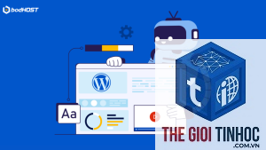 wordpress tương lai ra sao